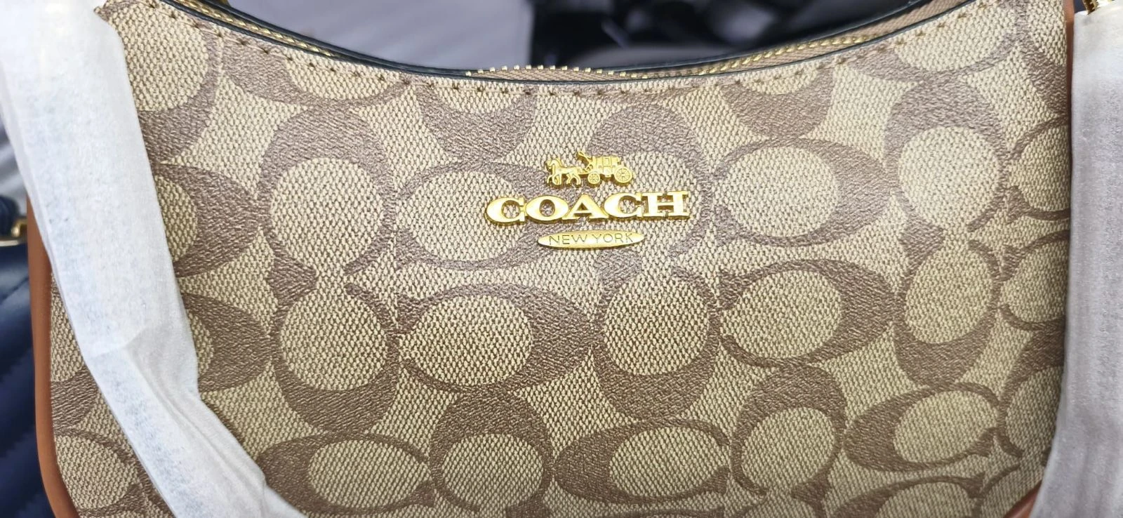 Tas – photo 2